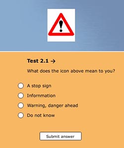 image: Example questionnaire screen from Iconology web site