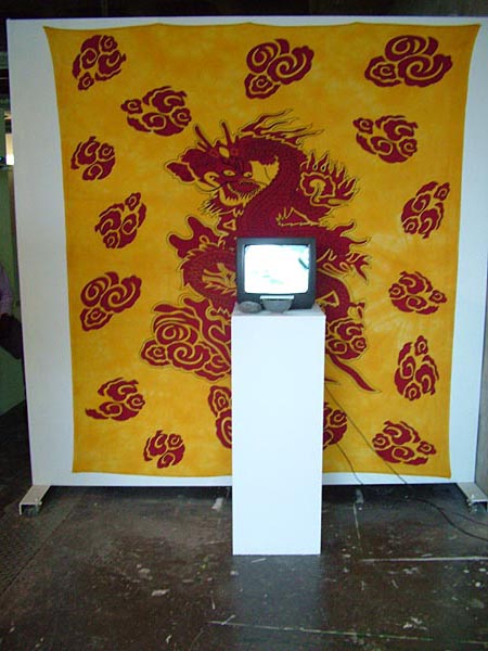 Su Shan Yu's installation