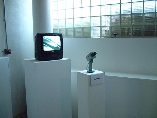 Peters' installation