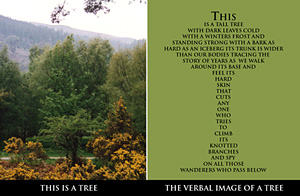 image: The verbal image of a tree