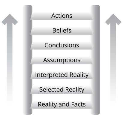 The ladder of inference