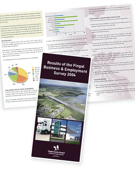 Fingal 2004 business survey report