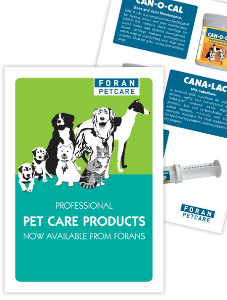 Pet Care Flyer